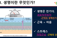 생명은 전기다