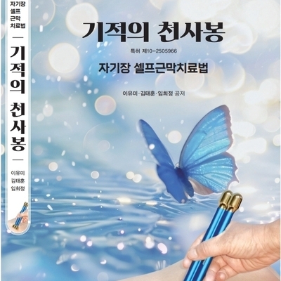 기적의 천사봉 (책)